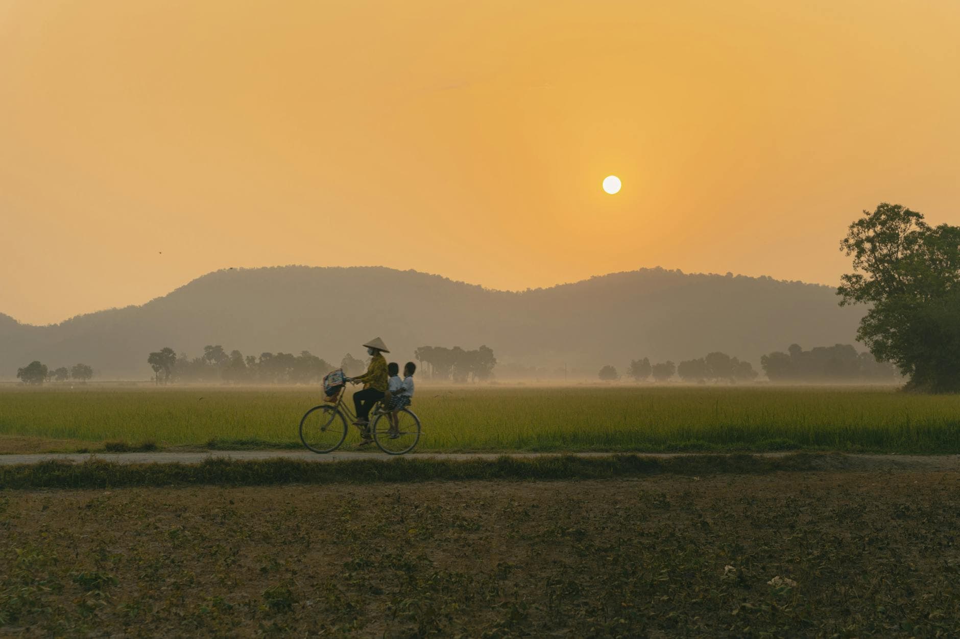 Cyclist on a flat rice-paddy lane in central Vietnam — the kind of low-traffic, low-gradient terrain that makes Hội An a natural Asian counterpart to the German Donauradweg.