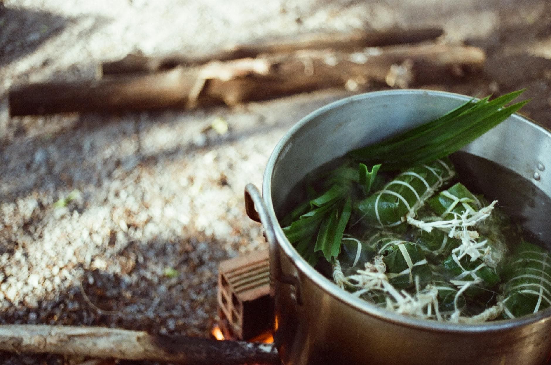 Steaming Vietnamese herbal bath bowl with lemongrass (sả), mugwort (ngải cứu) and ginger root — the xông hơi tradition that parallels the German Kneipp Kräuterdampfbad.